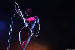 Original 2495 px/ 1663 px