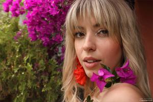 Original 4000 px/ 2667 px