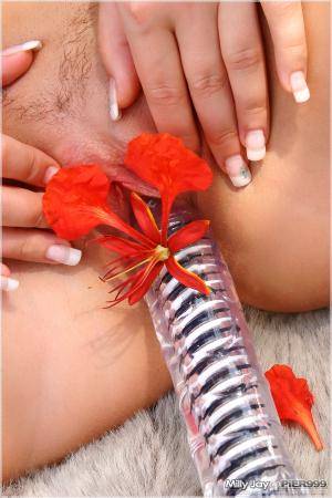 Original 900 px/ 1350 px