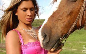 Original 750 px/ 470 px