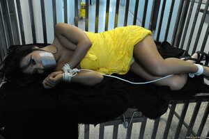 Original 2499 px/ 1663 px