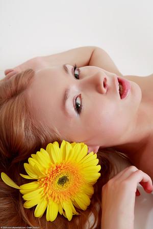 Original 1024 px/ 1536 px