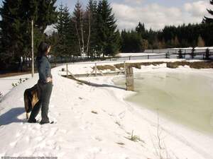 Original 1600 px/ 1200 px