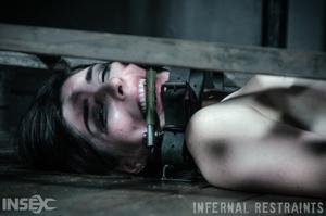 Original 1200 px/ 795 px