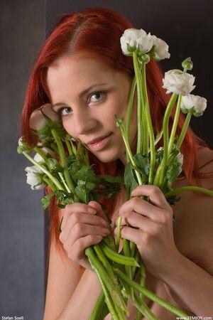 Original 2667 px/ 4000 px