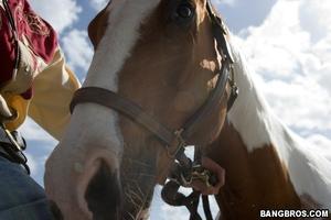 Original 800 px/ 533 px