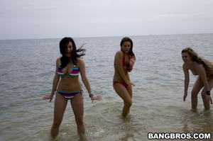 Original 800 px/ 531 px