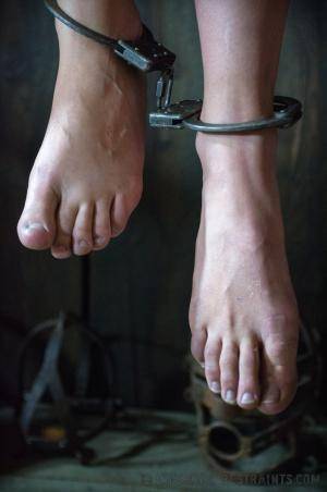 Original 795 px/ 1200 px