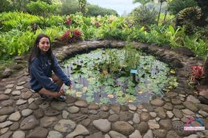 Original 3000 px/ 2000 px