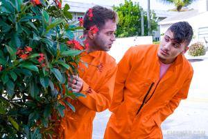 Original 1620 px/ 1080 px