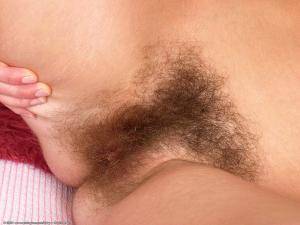 Original 1024 px/ 768 px