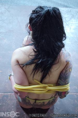 Original 795 px/ 1200 px