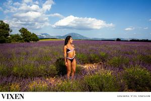 Original 3000 px/ 2000 px