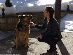 Original 1600 px/ 1200 px