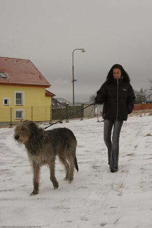 Original 1024 px/ 1536 px