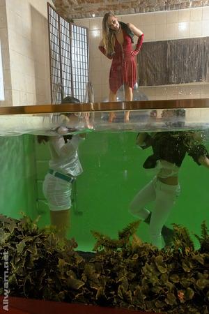 Original 683 px/ 1024 px