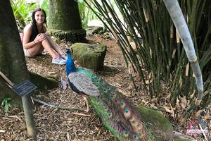 Original 3000 px/ 2000 px