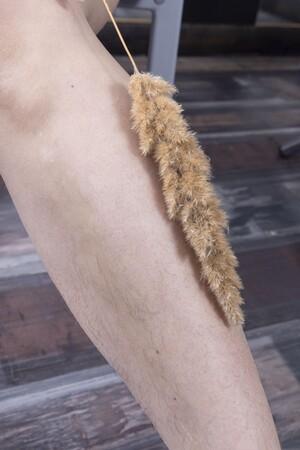 Original 2001 px/ 3000 px