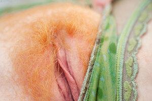 Original 3888 px/ 2592 px