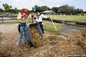 Original 800 px/ 533 px