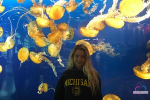 Original 3000 px/ 2000 px