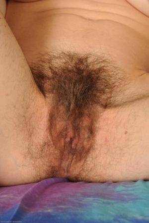 Original 682 px/ 1024 px