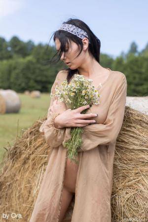 Original 854 px/ 1280 px