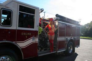 Original 1000 px/ 661 px