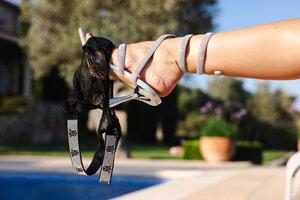 Original 8192 px/ 5464 px