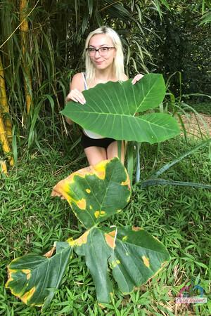 Original 2000 px/ 3000 px