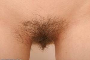 Original 1024 px/ 682 px