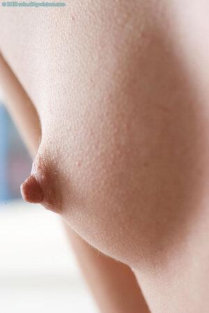 Original 981 px/ 1472 px