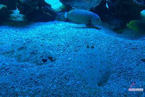 Original 3000 px/ 2000 px