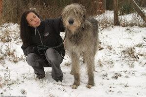 Original 1536 px/ 1024 px