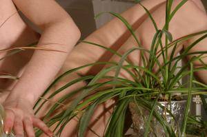 Original 1536 px/ 1020 px