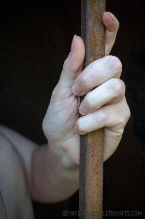 Original 795 px/ 1200 px