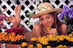 Original 1024 px/ 670 px