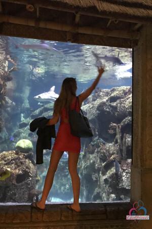 Original 2000 px/ 3000 px