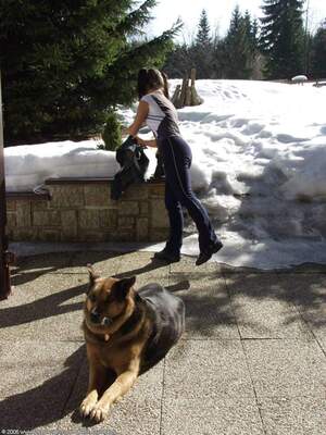 Original 1200 px/ 1600 px