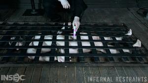 Original 1200 px/ 675 px