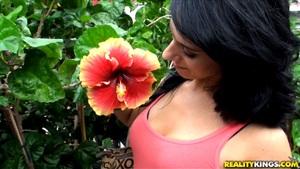 Original 3840 px/ 2160 px