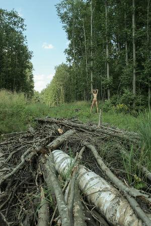 Original 2592 px/ 3888 px