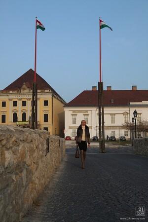 Original 853 px/ 1280 px