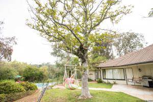 Original 2499 px/ 1663 px