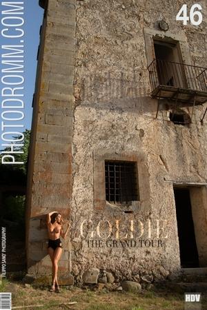 #PhotoDromm Goldie - The Grand Tour