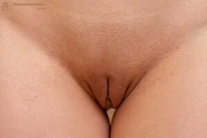 Original 7952 px/ 5304 px