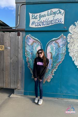 Original 2000 px/ 3000 px