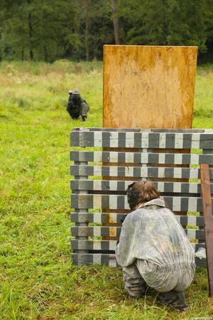 Original 2667 px/ 4000 px