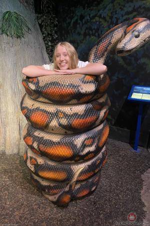 Original 2000 px/ 3000 px