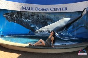 Original 3000 px/ 2000 px